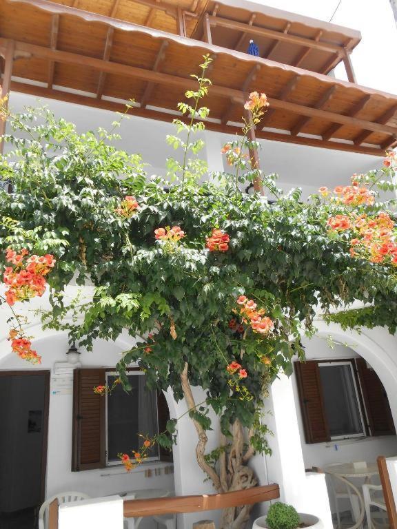 Summerfell Agia Anna  المظهر الخارجي الصورة